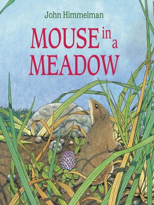 cover image of Mouse in a Meadow